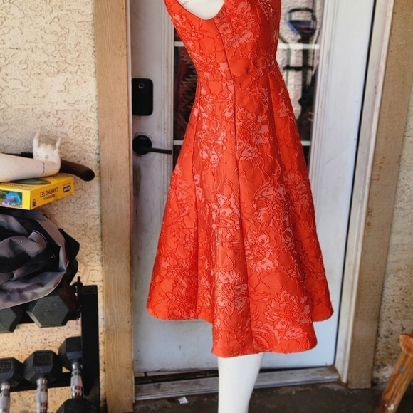 Little‎ Red Dress - Picture 4 of 8